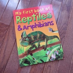 My Firsy book of Reptiles